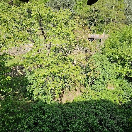 Appartement Malleval Chez Jeanne ภายนอก รูปภาพ